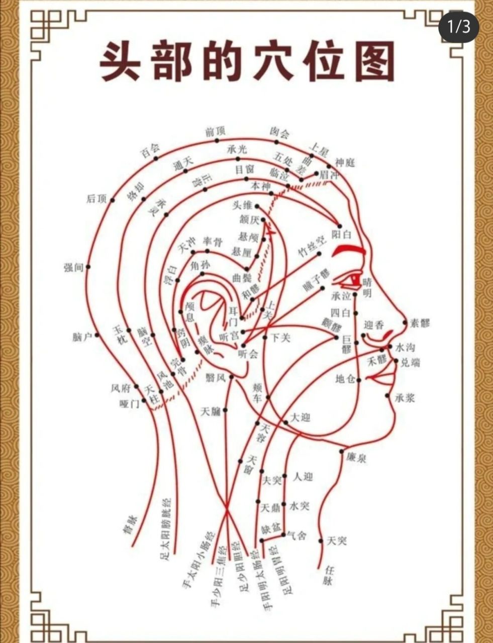 头部穴位图