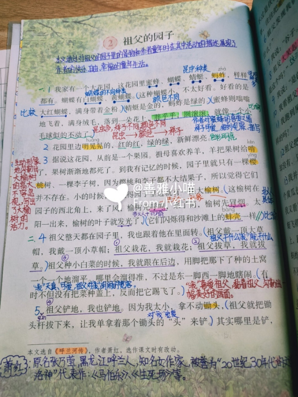 部编五下第2课《祖父的园子》学习笔记 #小学学习笔记