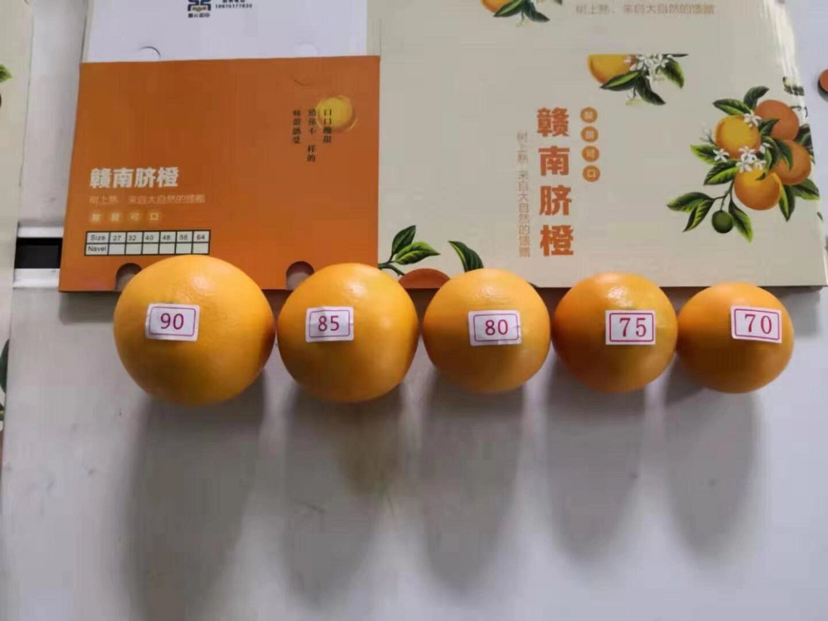 赣南脐橙20斤精品和20斤标准果的对比图 有朋友第一次买赣南脐橙可能