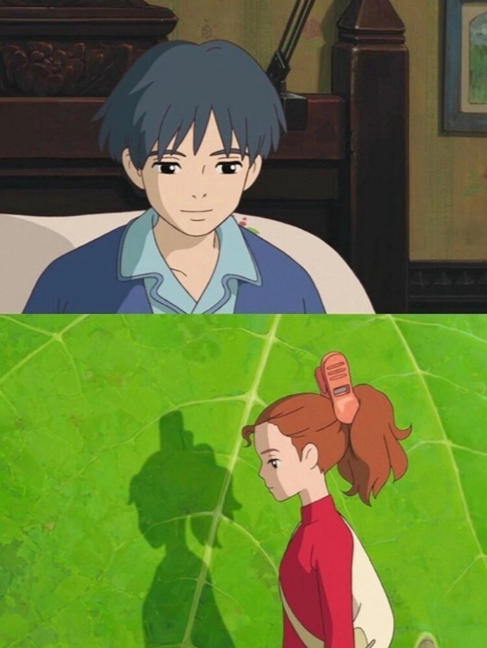 每日文字摘抄——《借东西的小人阿莉埃蒂》 选自9