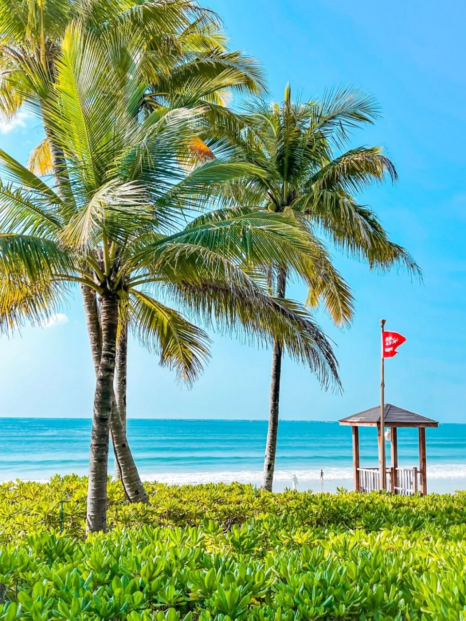 海岛游# 谁不向往一间超美又治愈的海景房呢?