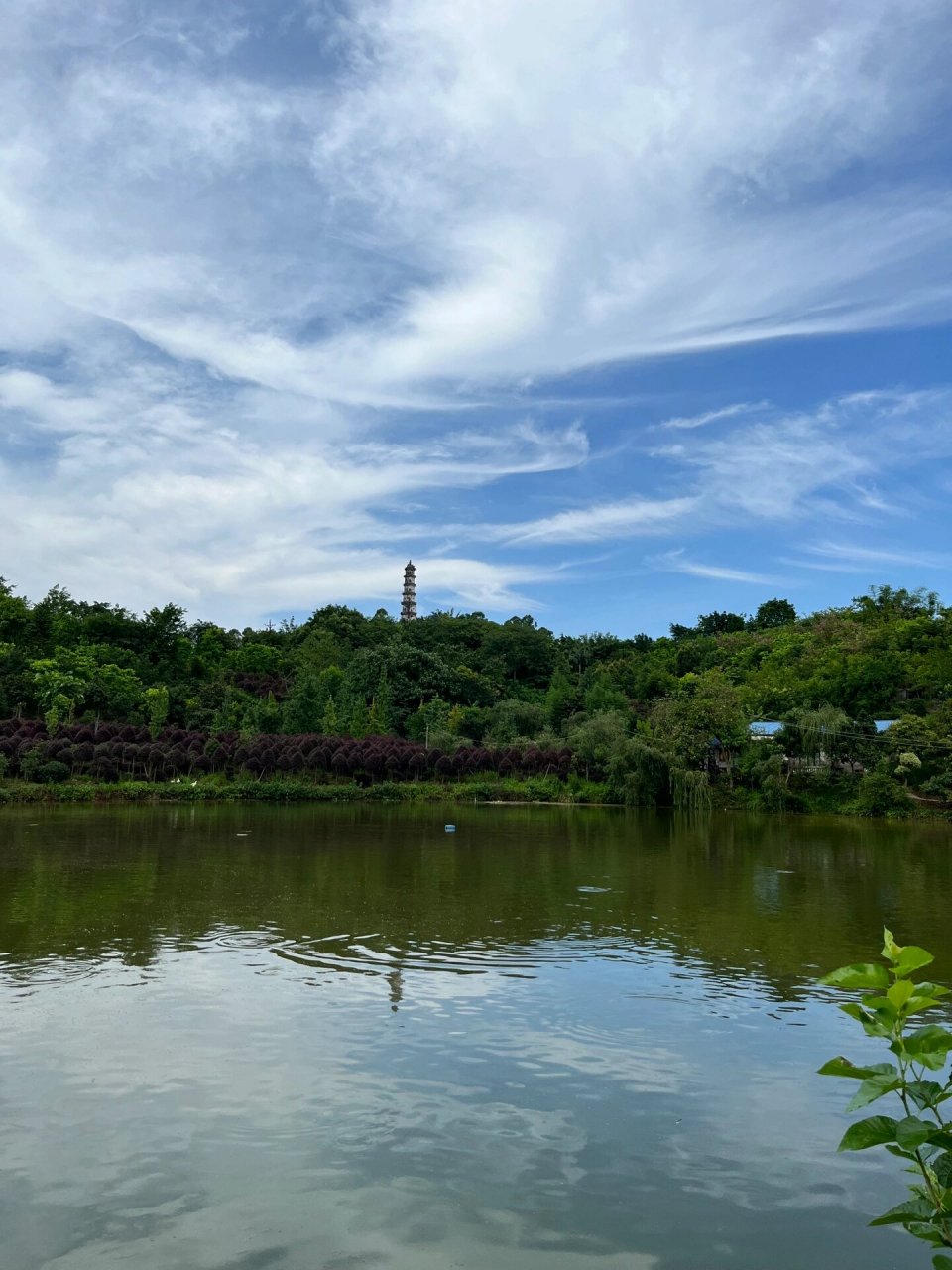 富顺|自贡 富顺钟鼓楼,临江寺石坊群,富顺文光塔,富顺回澜塔 富顺因盐