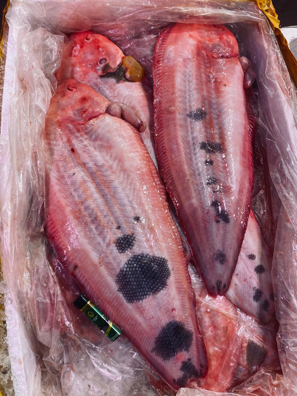 踏板鱼也叫龙利鱼,牛舌鱼,舌鳎鱼 龙利鱼肉质细嫩营养丰富,属于橙肉