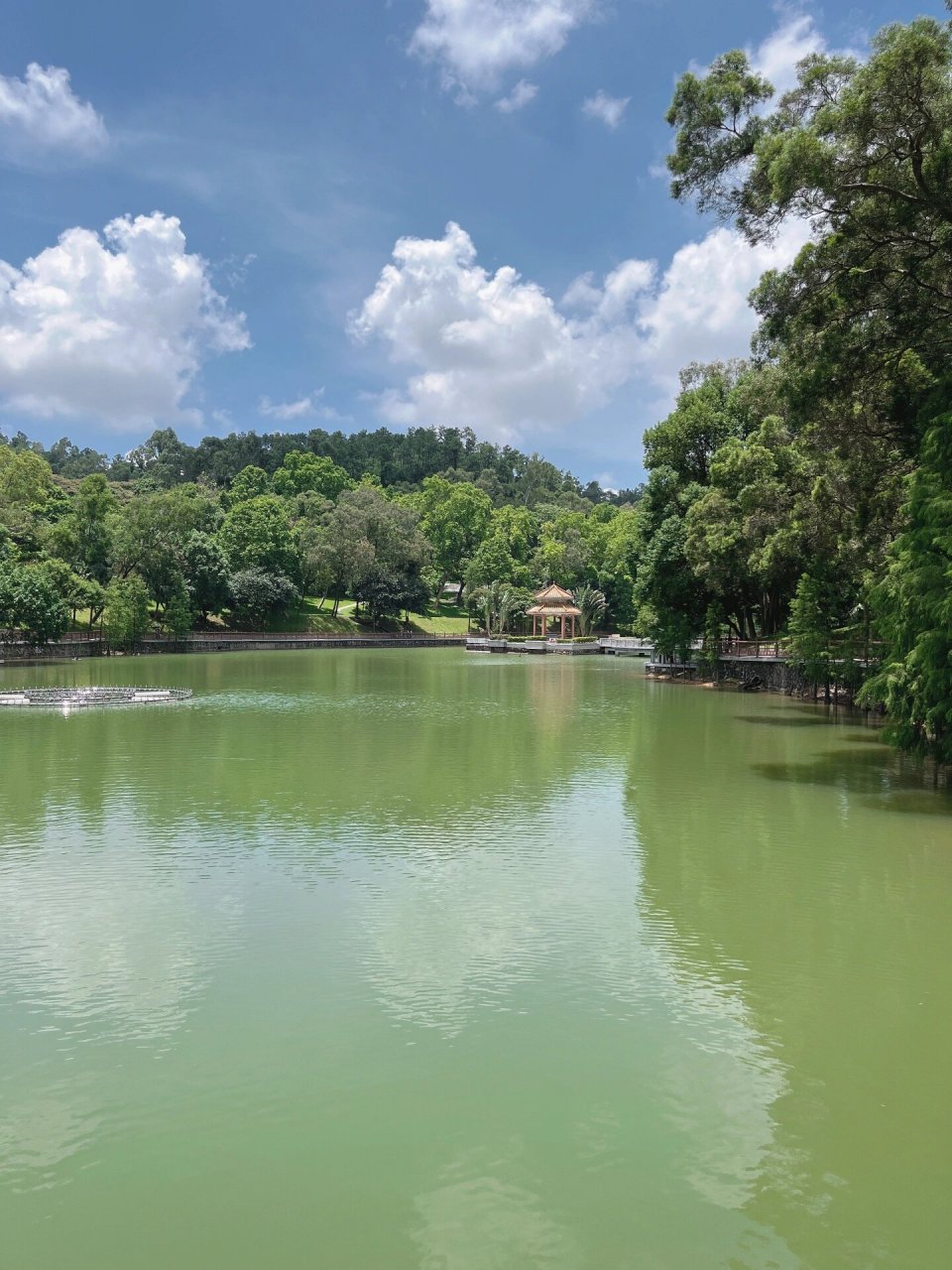 斗门霞山公园7415 这里景色非常美!斗门老派公园干净安静特