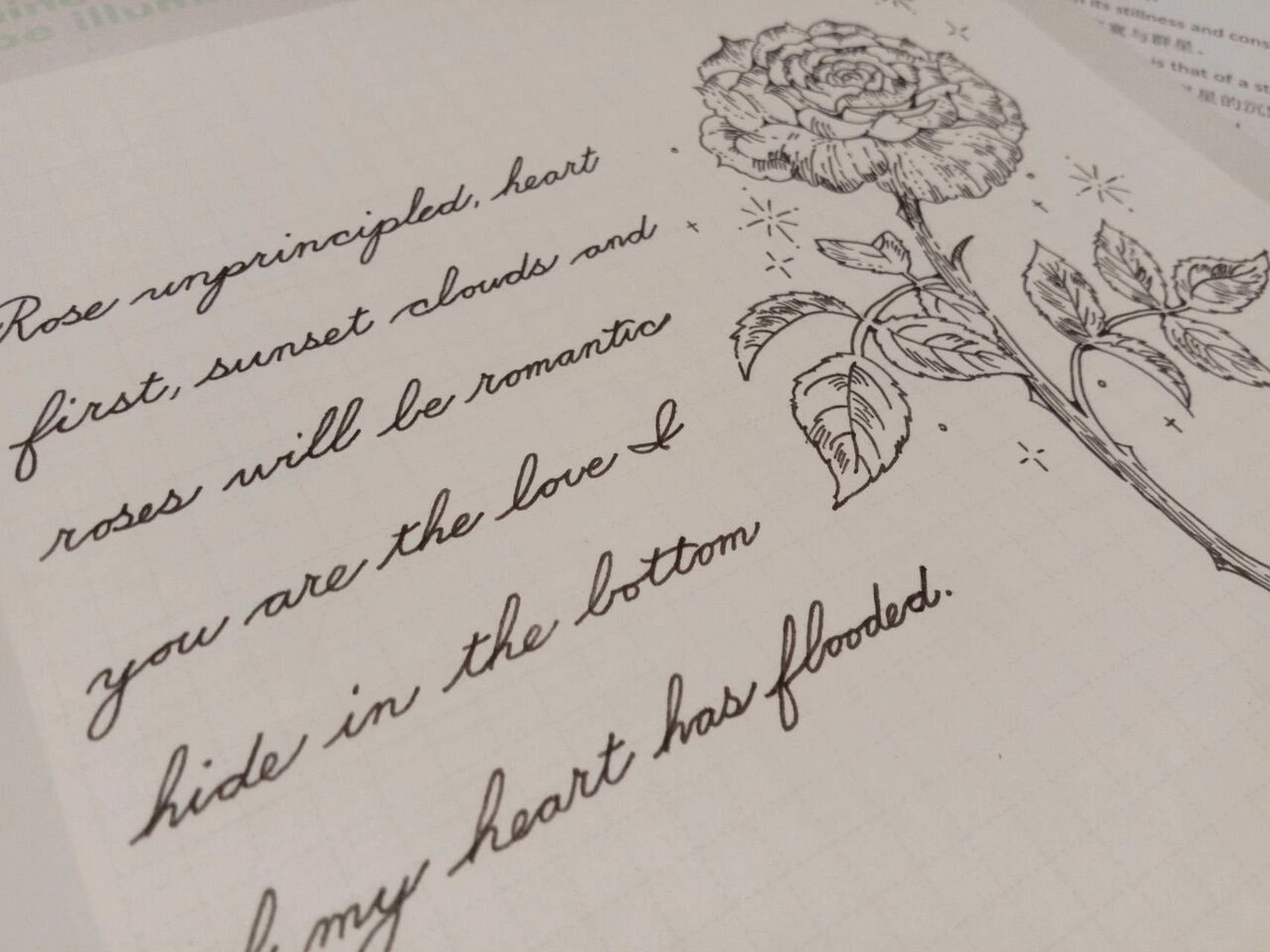 手写花体英文 | 玫瑰手绘 "玫瑰无原则,心动至上"