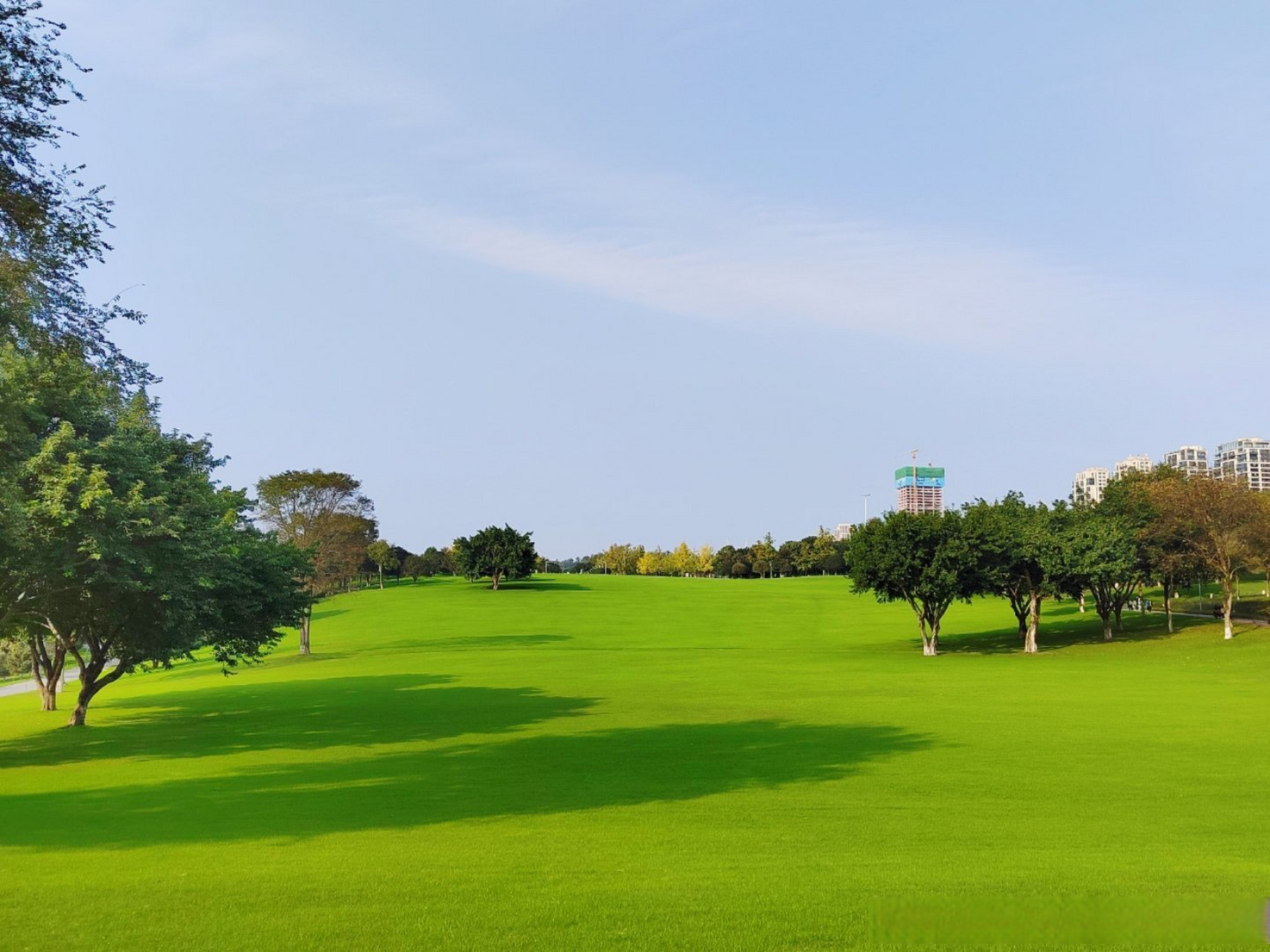 亚洲最大的中央公园———重庆中央公园,占地2300亩,最出彩的还是阳光