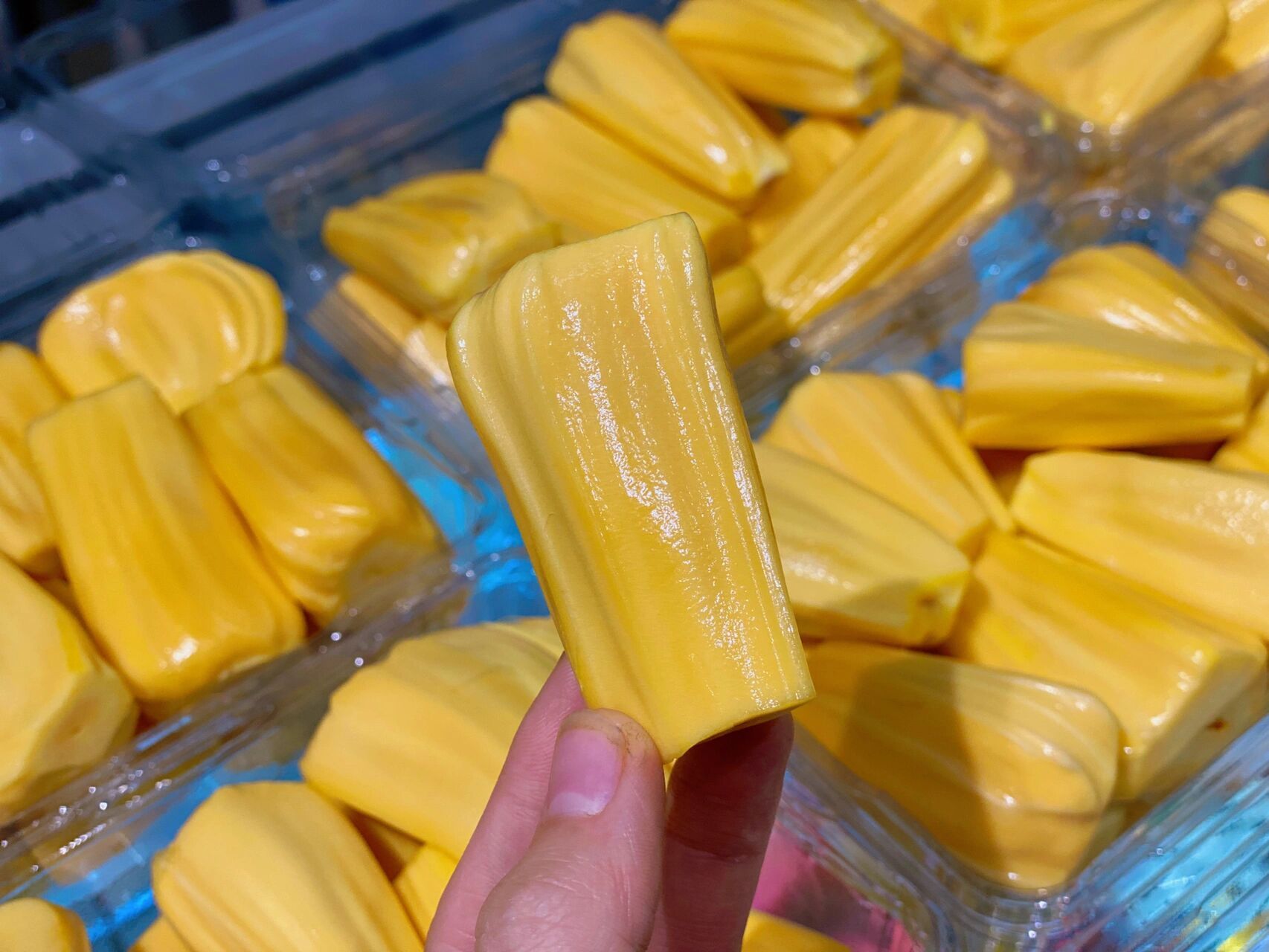 相对于黄肉菠萝蜜更脆更甜,甜度高达25度左右.