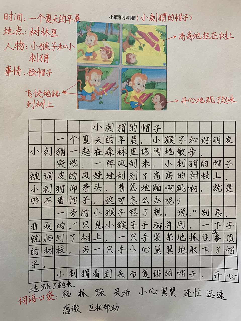 看图写话第11篇《小刺猬的帽子》 《小猴子和小刺猬》《小猴捡帽子》