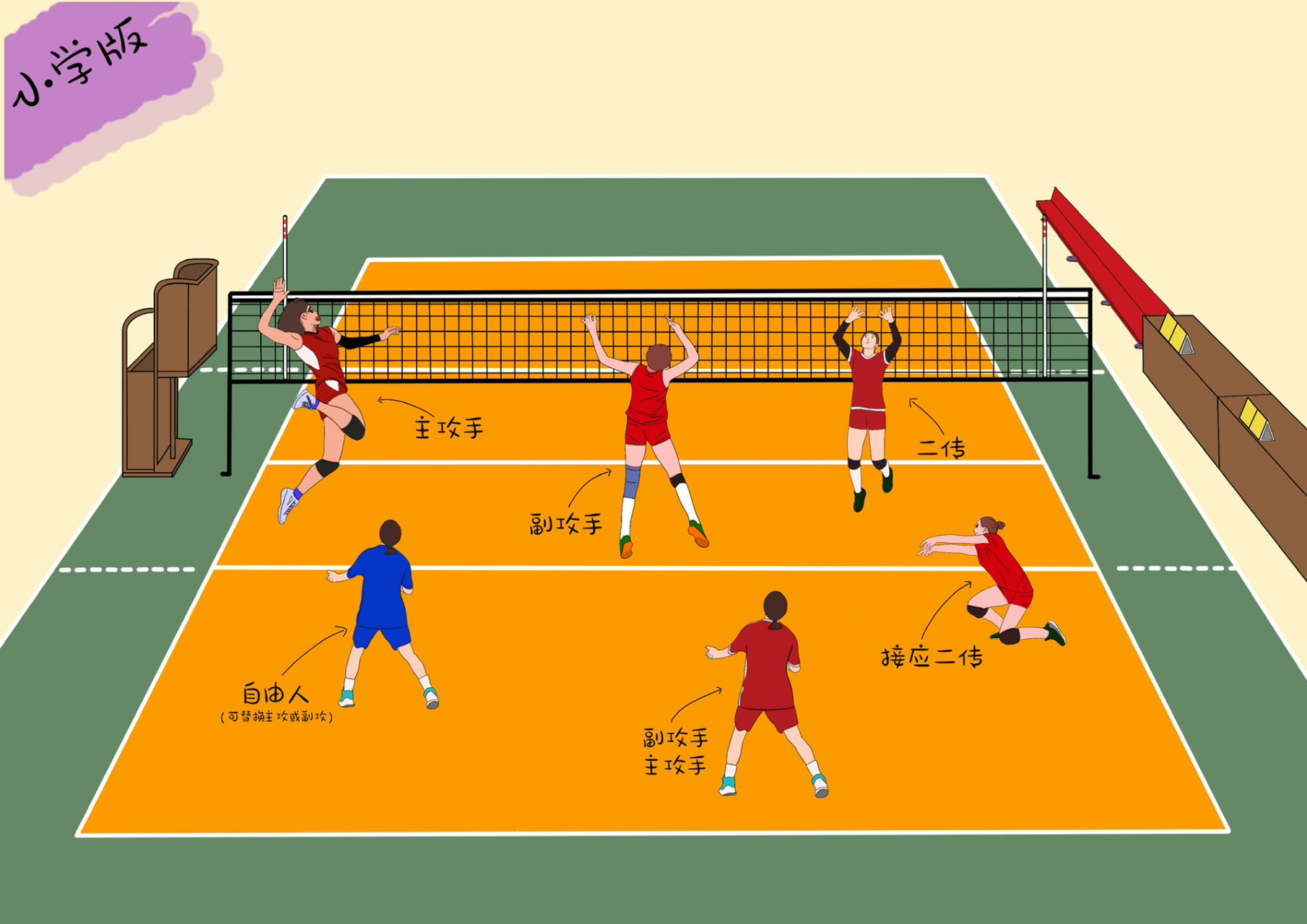 排球位置知多少 一个图～告诉你排球进攻位置区分   后续会更新防守