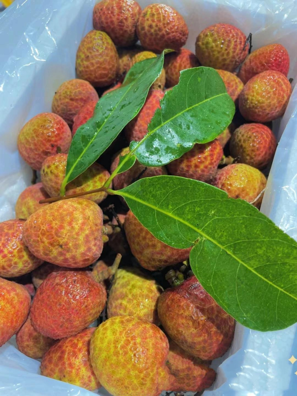 桂花香荔枝 785561q弹的果肉宛若凝脂,有股淡淡的蜜香.