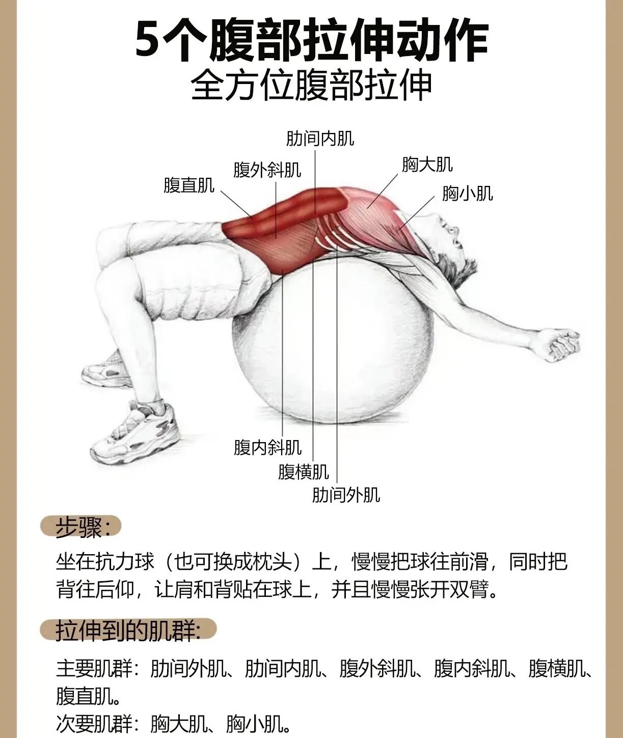 98五个腹部拉伸动作