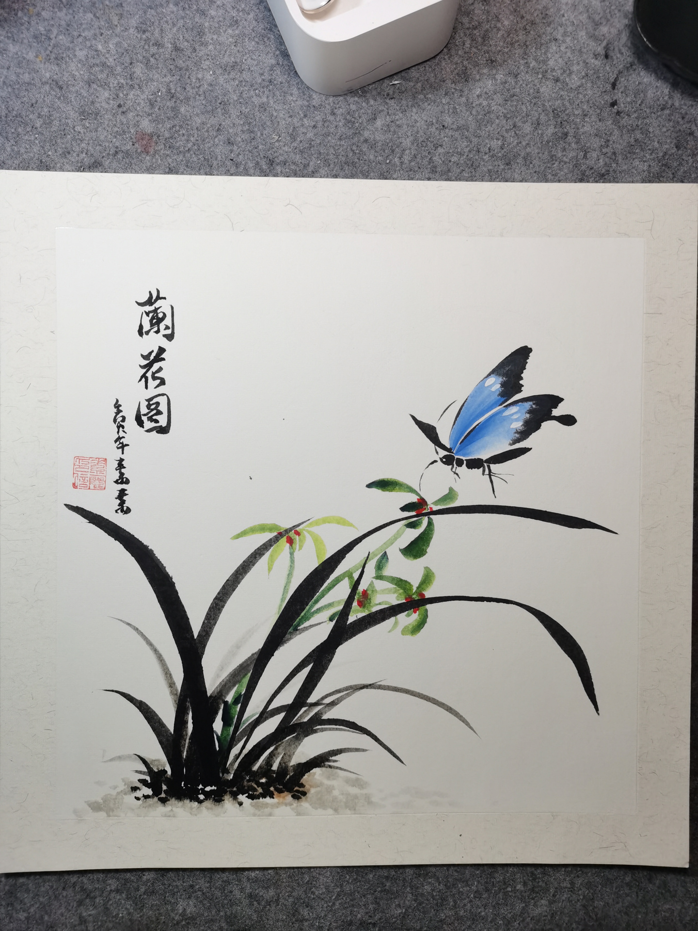 国画蝴蝶后续《兰花图》95详细步骤图