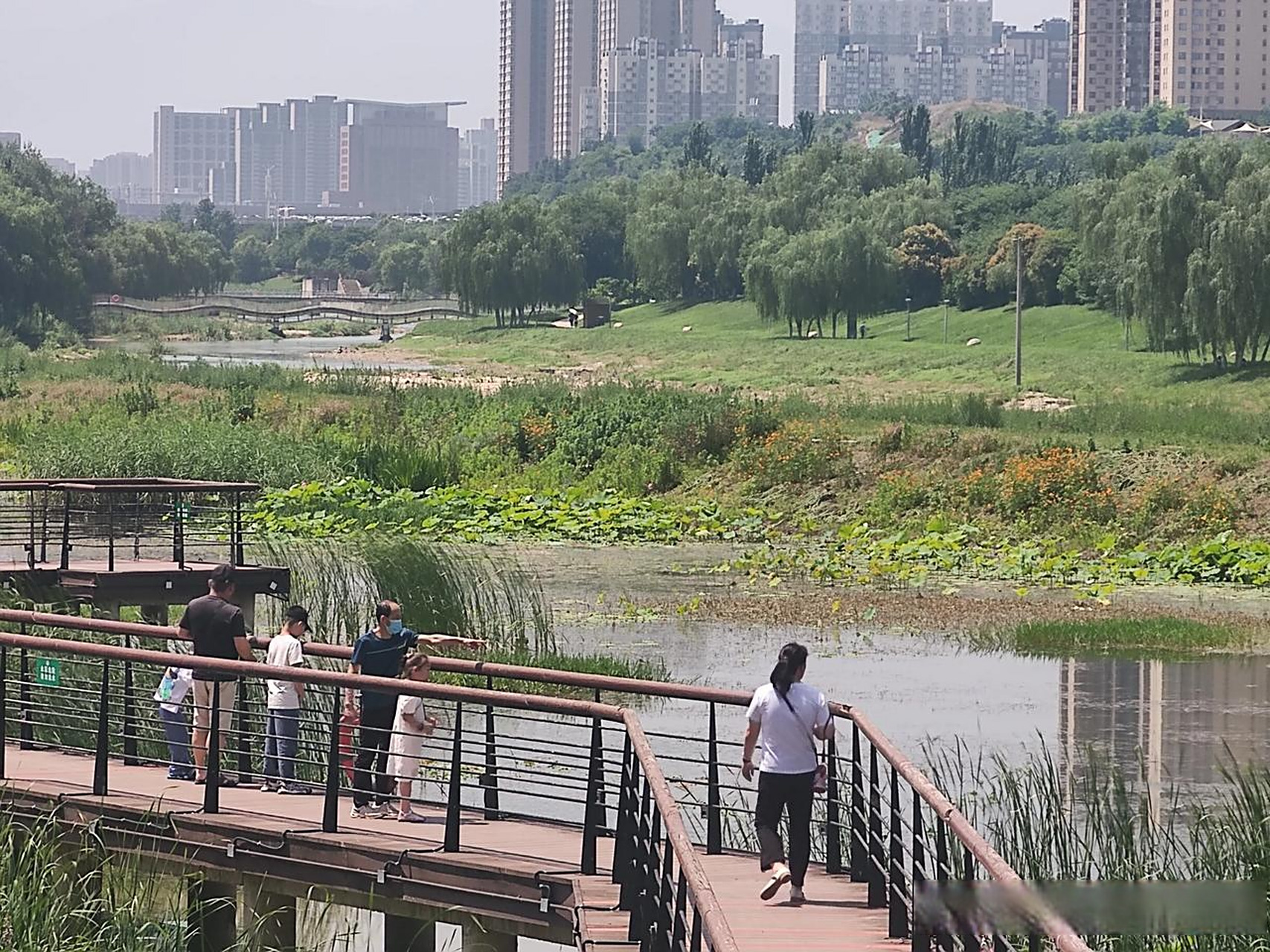 清凉一夏的好去处西安桃花潭地铁口的桃花潭公园,这几年变化不下,可能