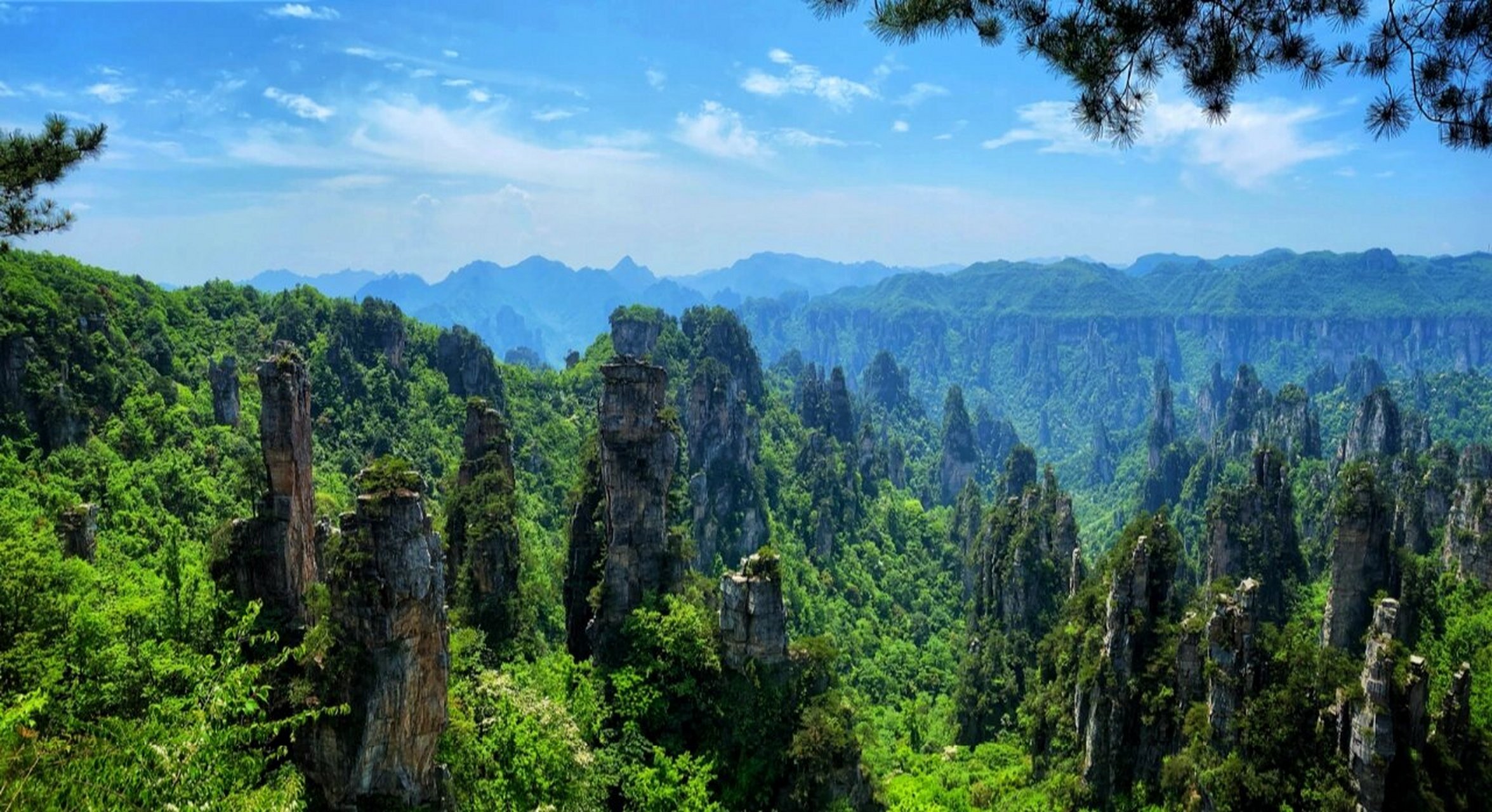 张家界国家森林公园:门票226 166黄石寨:"不登黄石赛,枉到张家界"