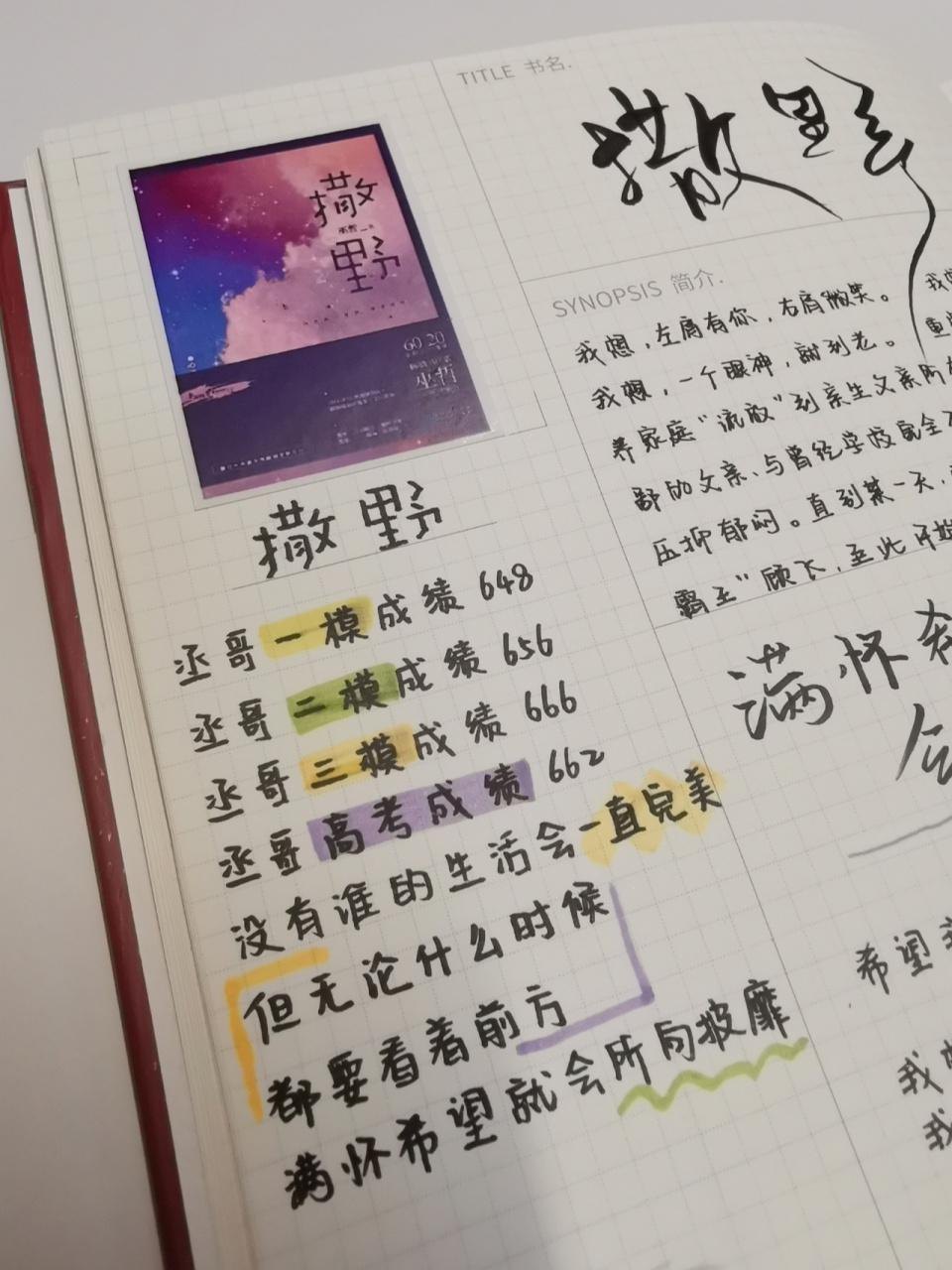 读书笔记95|《撒野》 我一脚踏空 我就要飞起来了 我向上是迷茫 我