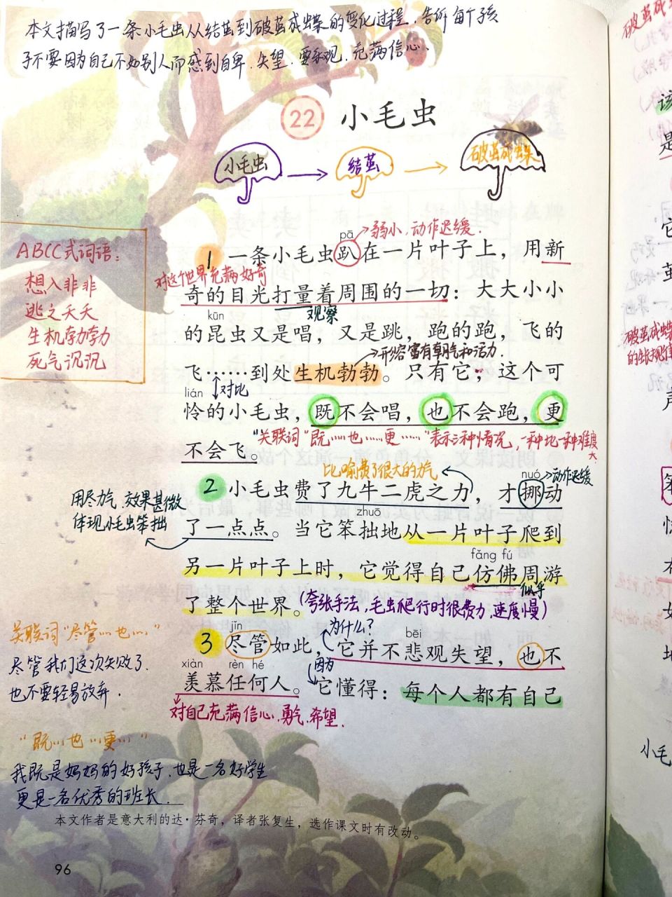 二年级语文下册《小毛虫》课堂笔记77总结     听说美妈帅爸们都在