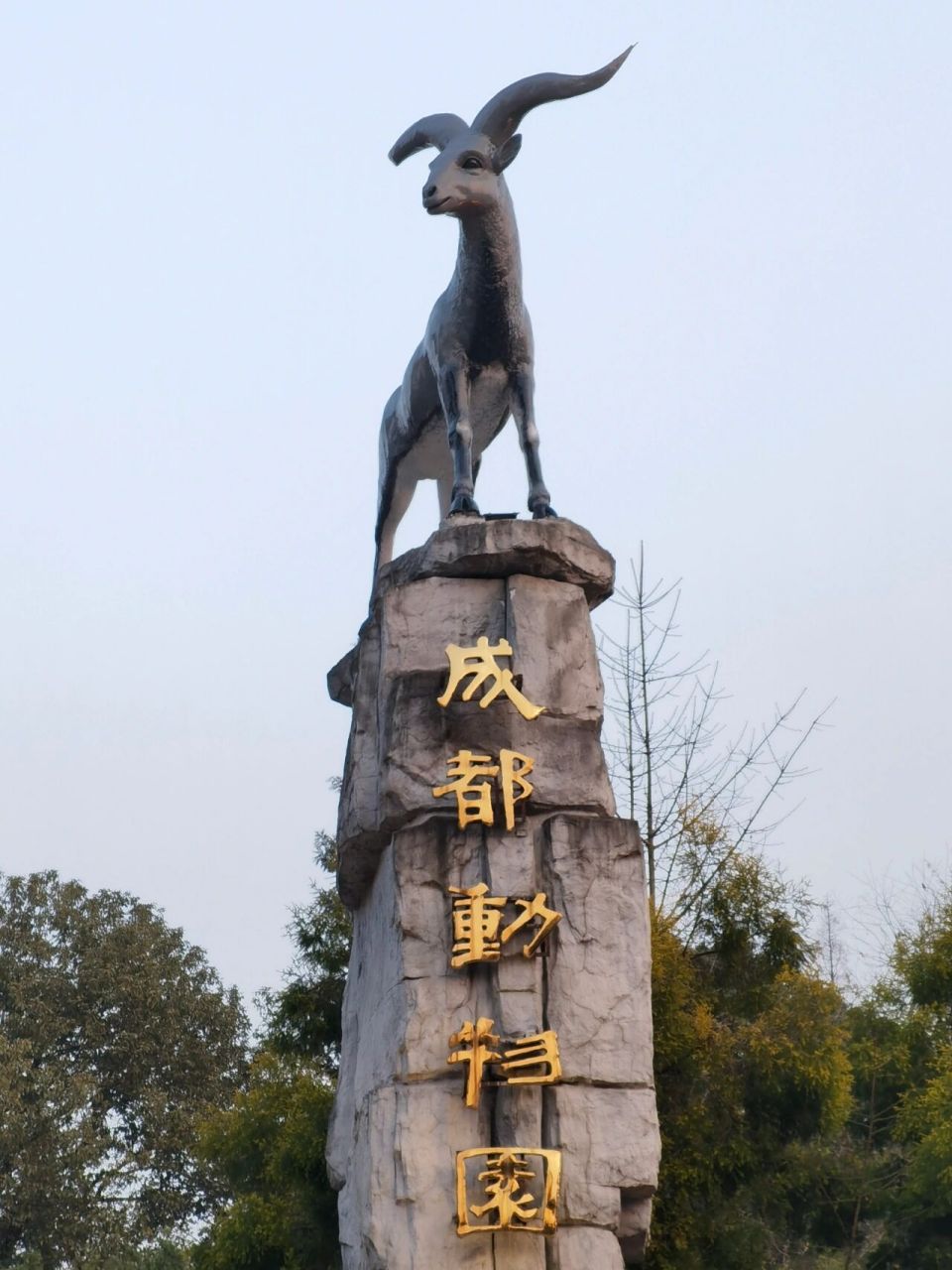 成都动物园 门票才20 很划算 动物基本还是比较全 就是去太晚了,很多