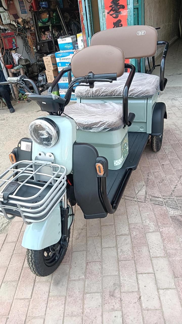 电动车推荐 小鸟高端休闲三轮走单!