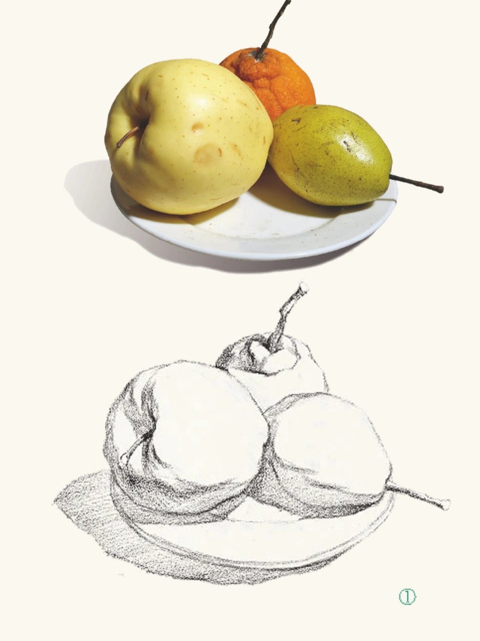 素描水果组合-素描苹果橘子梨盘子 素描水果组合,苹果橘子梨,素描盘子