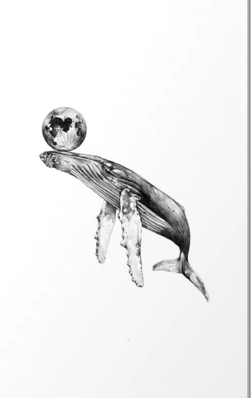 鲸鱼纹身手稿图案分享 (2)    图案手稿