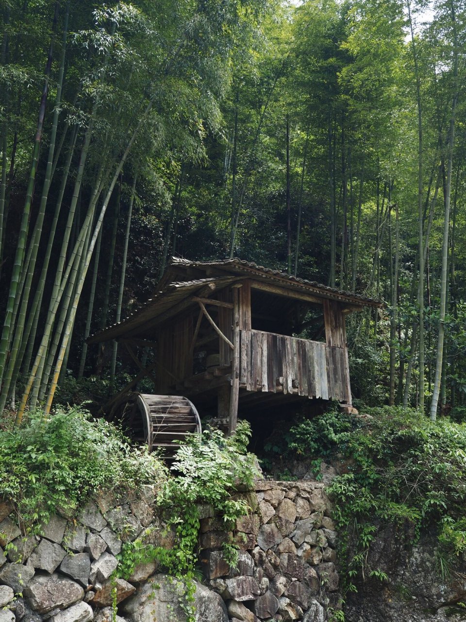 林坑古村落:楠溪江上游的"桃花源" 位于永嘉县北部岩坦镇黄南乡