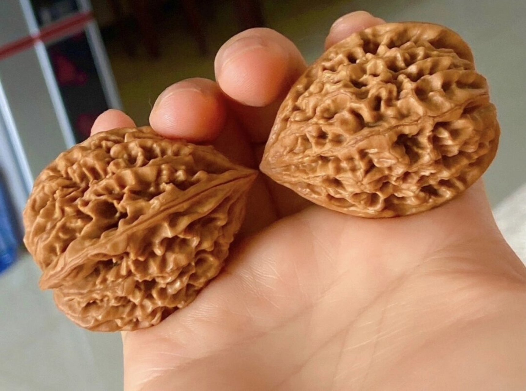 招财鼠"狮子头核桃文玩 边37肚38高46重43.