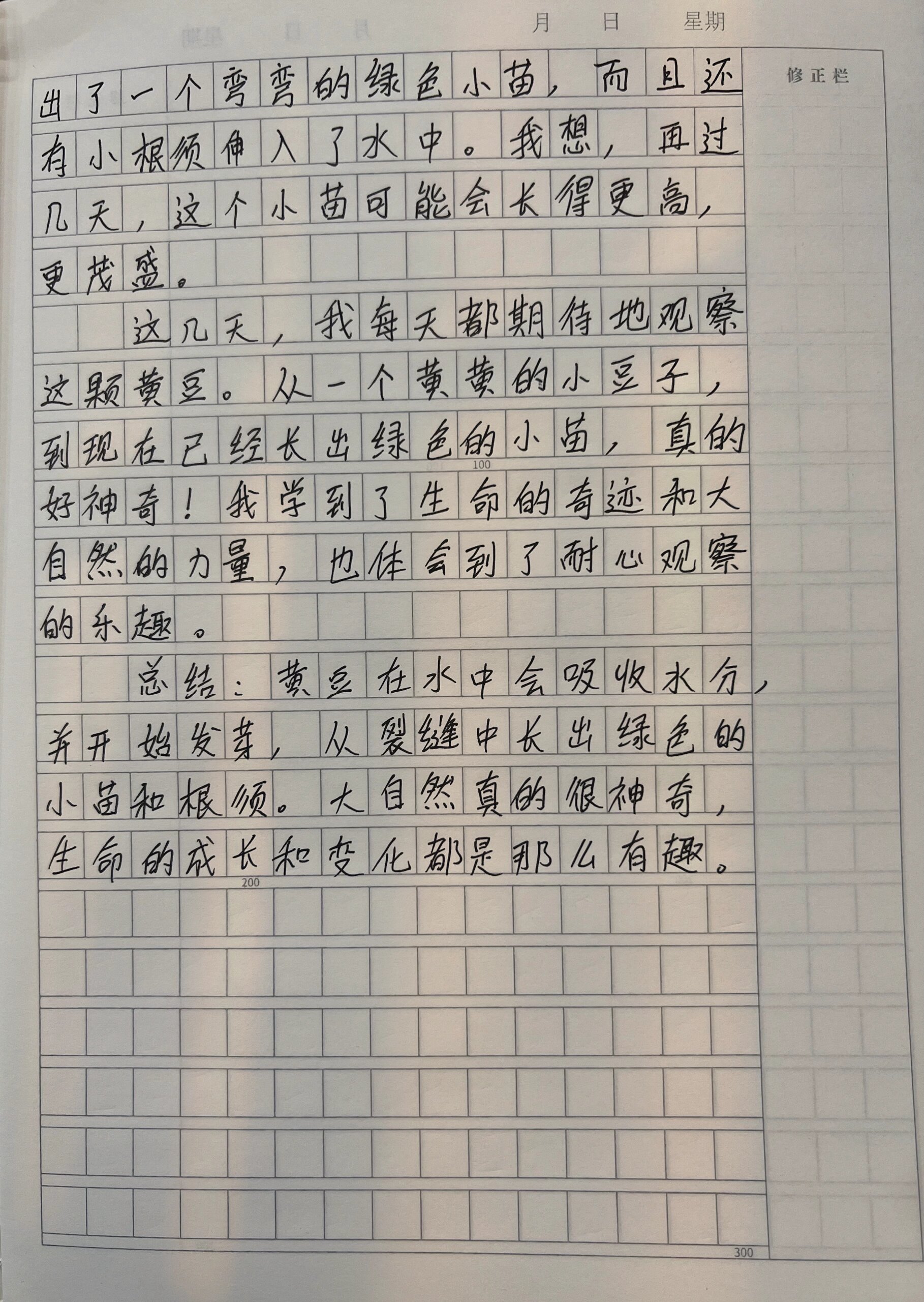 黄豆发芽的过程作文图片