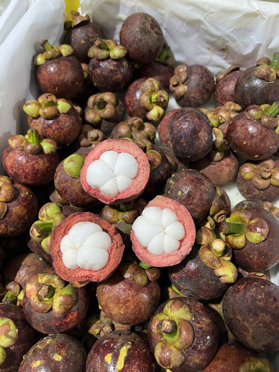 泰国空运老树麻竹山竹,不要错过 泰国空运山竹调 # ②增加老树麻竹5斤