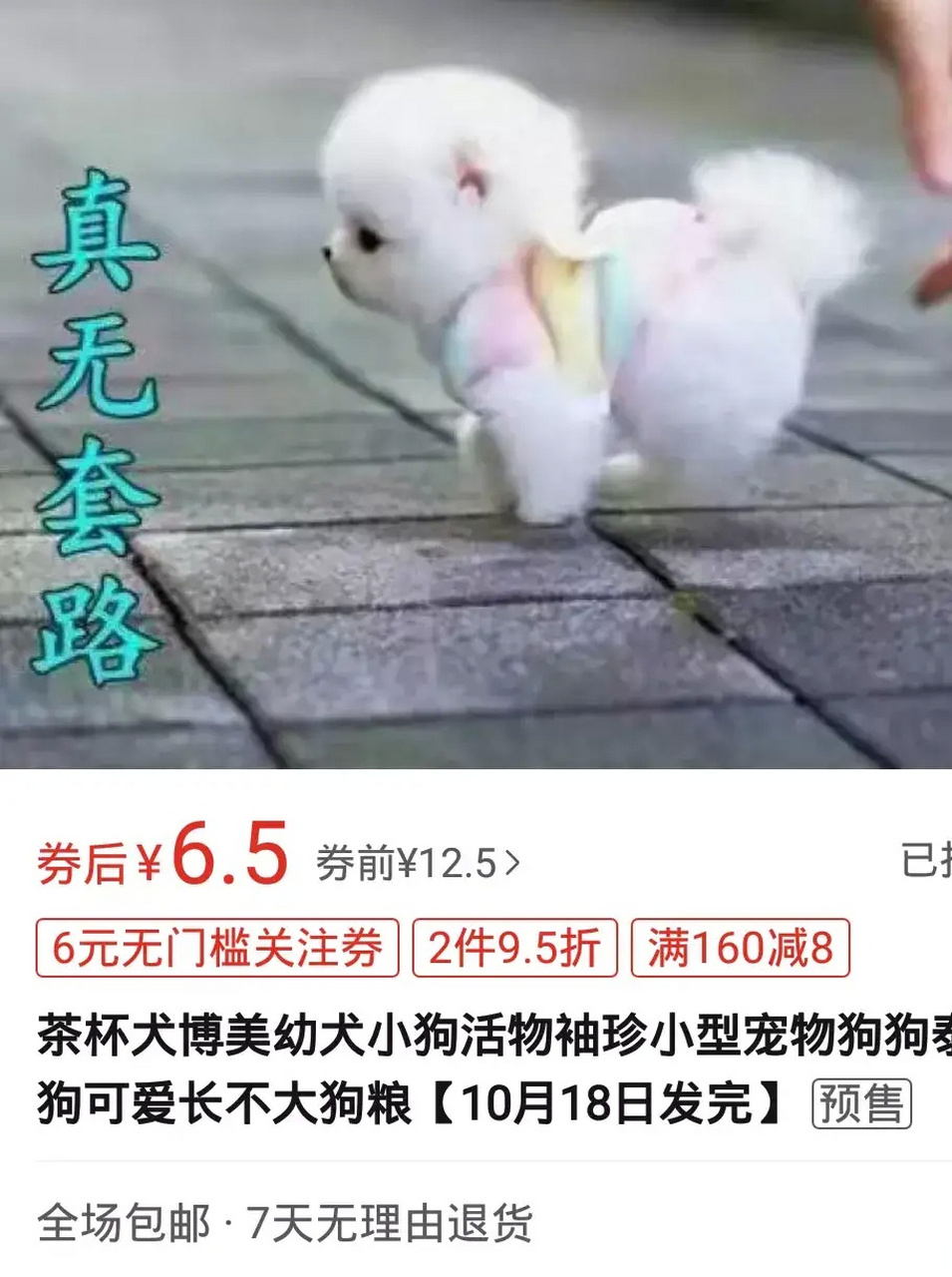 并夕夕上,看到个茶杯犬,价钱真便宜啊,心动了,点进去,骂骂咧咧退出来