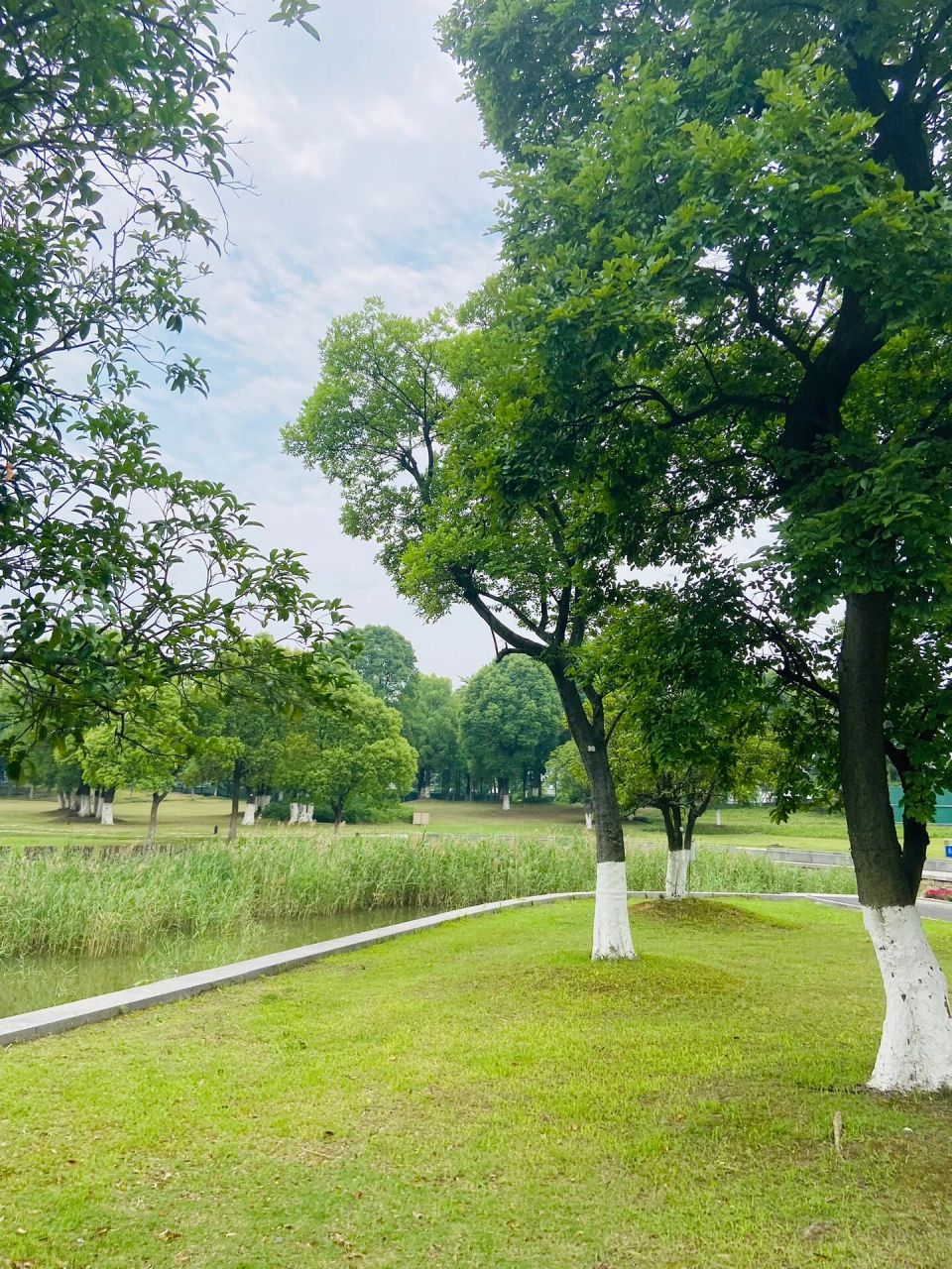 杭州遛娃 | "小三亚"金沙湖公园,免费沙滩～ 金沙湖公园位于钱塘新区