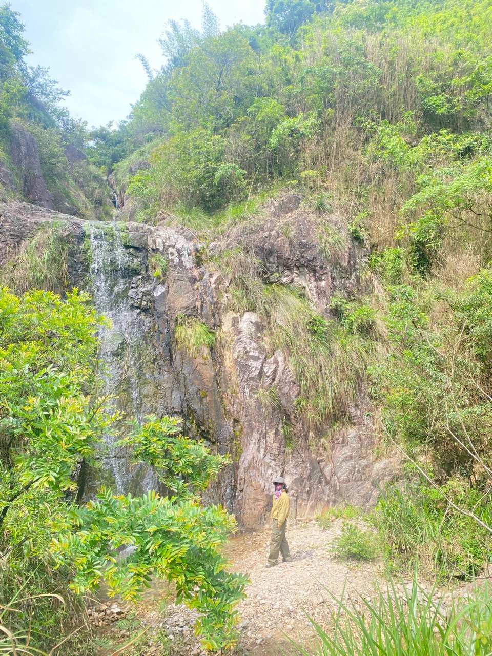 苍南藻溪三台山风景图片