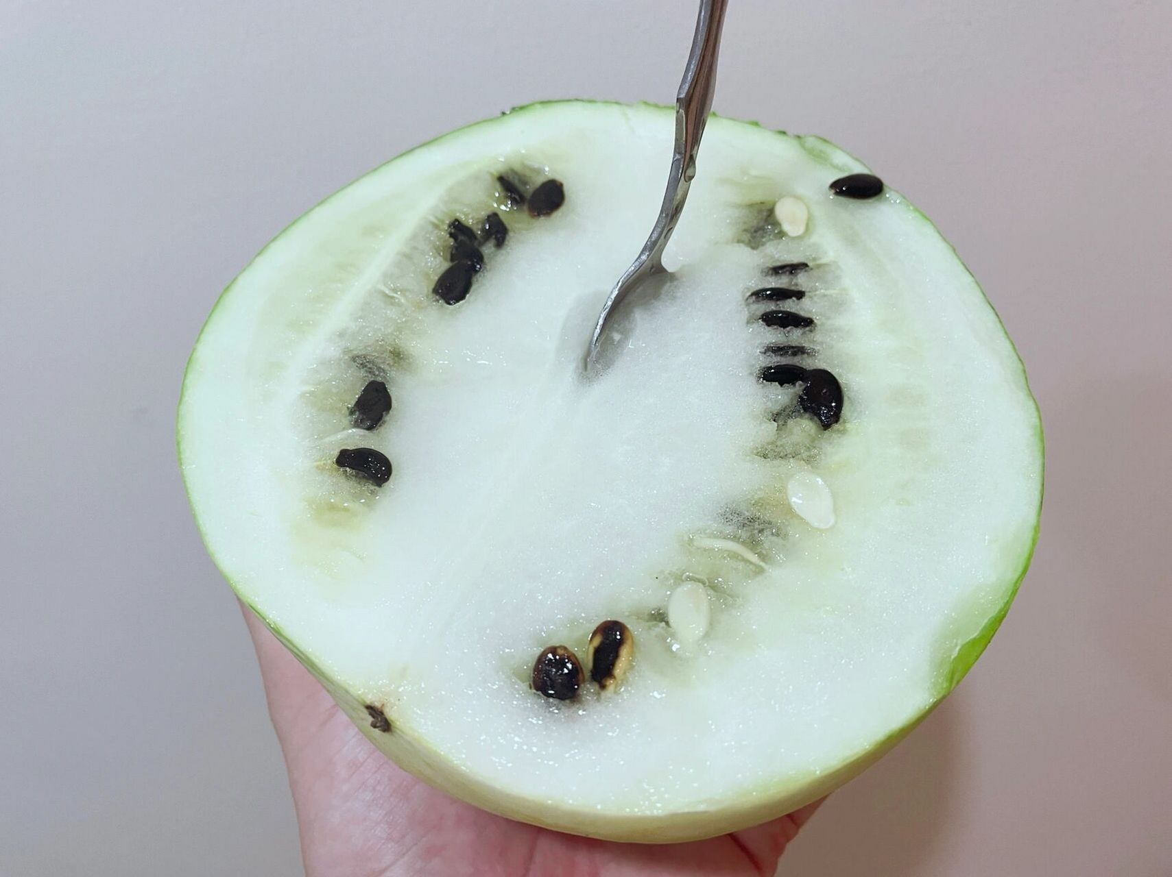 谁吃过白瓤西瓜? 今天买了个瓜,切开竟然是白色的.