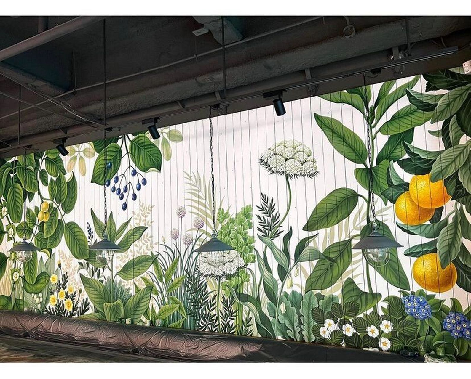 植物小清新墙绘壁画-附设计图 植物无论画在哪个空间都超级合适78