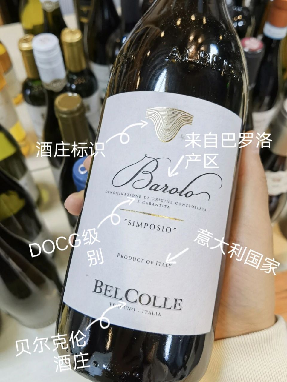 719915 图二葡萄酒款名称:意大利皮埃蒙特巴罗洛干红葡萄酒