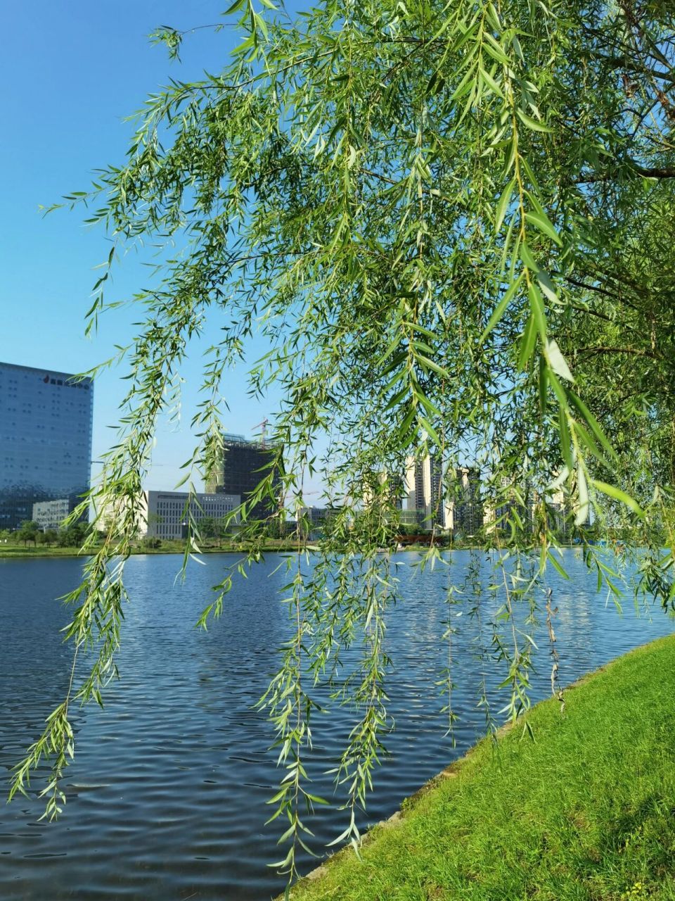 泸州周边游 | 渔子溪湿地公园 99我觉得是泸州最好的公园!