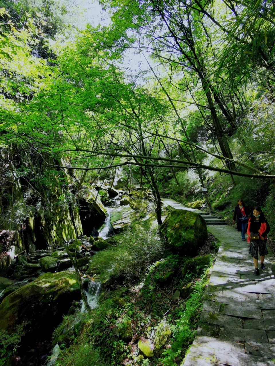 蜀道寻路2·阴平道·摩天岭和唐家河 为了体验邓艾翻越的摩天岭,我