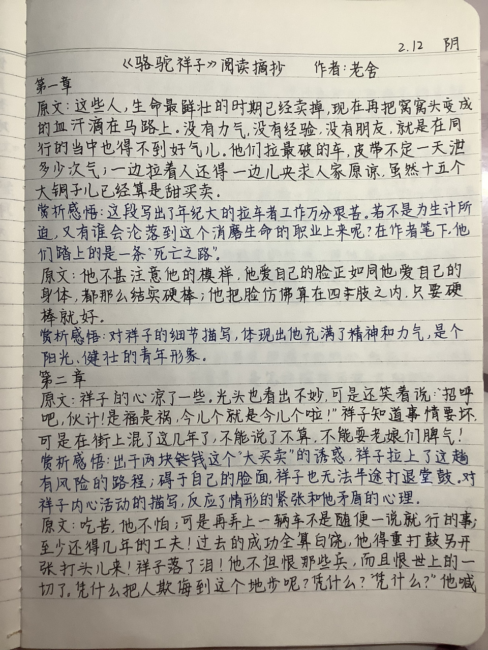 《骆驼祥子》摘抄|第1～3章 有姐妹说喜欢我的阅读摘抄 真的很开心