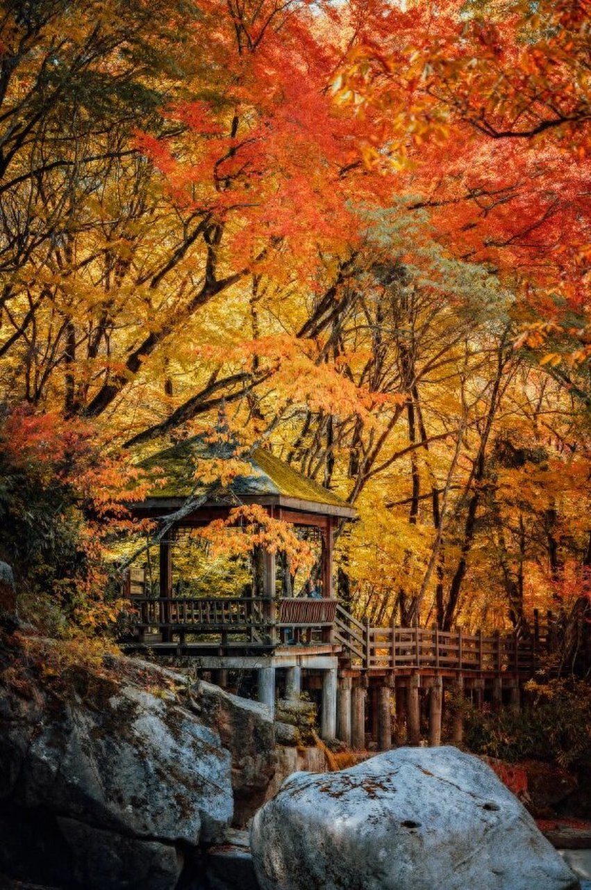 十一好去处,光雾山红叶赏秋记93 码住601510-11月适合去的红叶