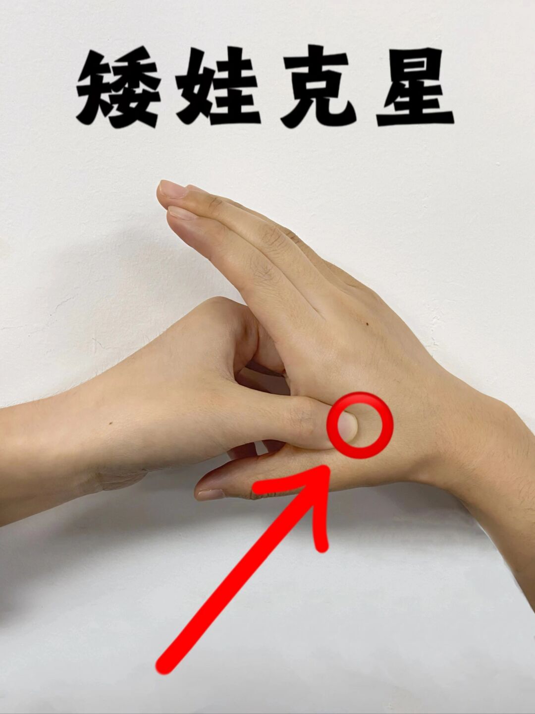 方法我都整理出来了,直接照搬就行!