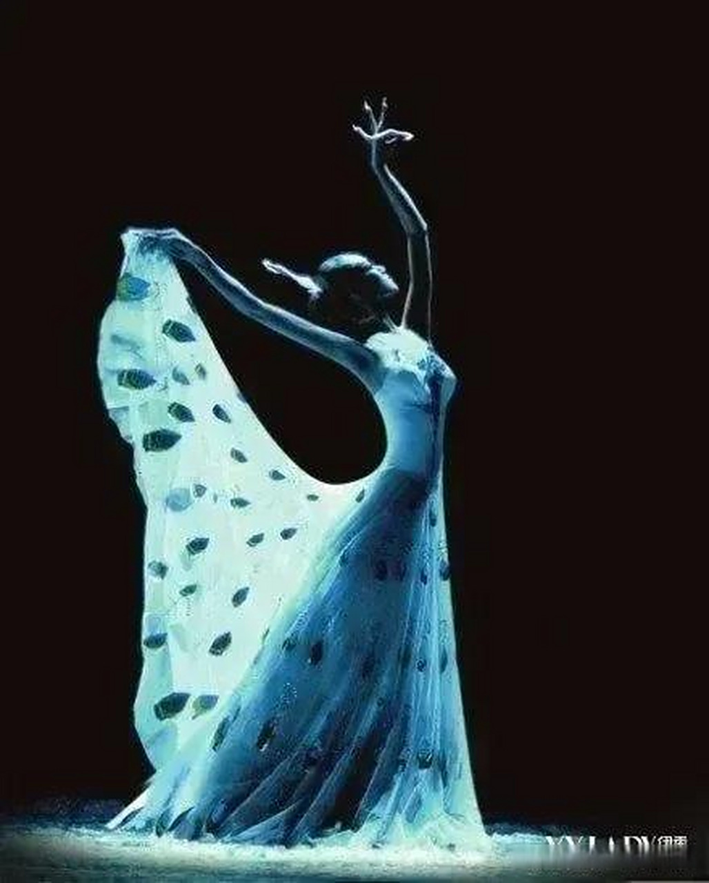 杨丽萍孔雀舞再惹争议 杨丽萍最新舞蹈  每年从舞蹈学院毕业的舞者千