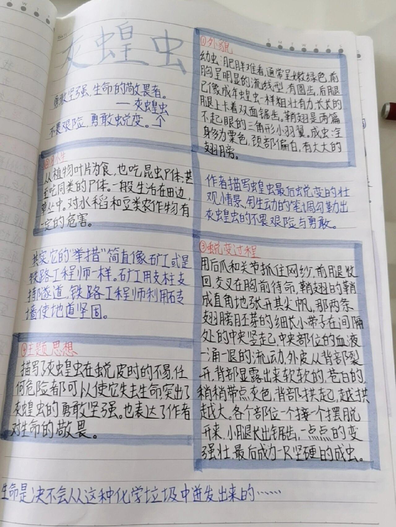 《昆虫记》思维导图阅读笔记之灰蝗虫篇