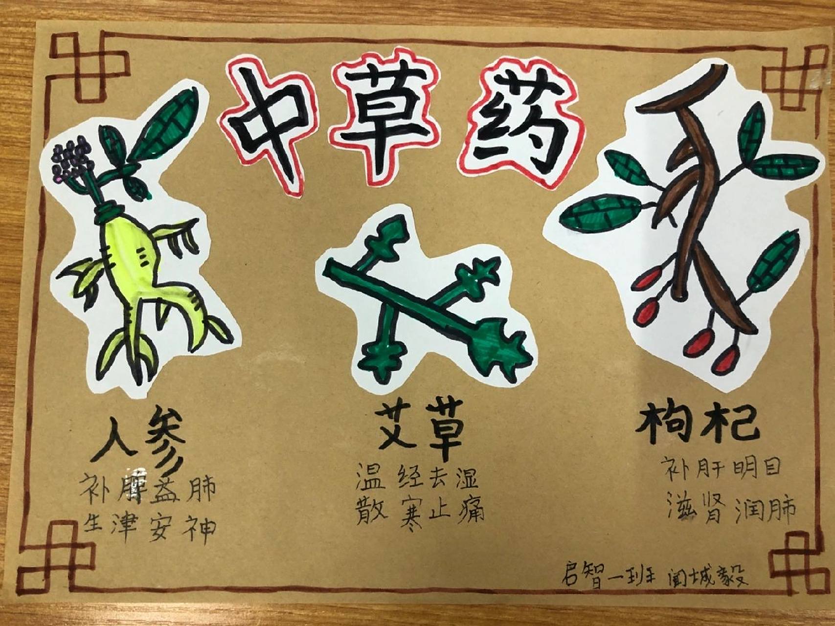 中草药🌿手抄报 学生利用周末制作的中草药手抄报