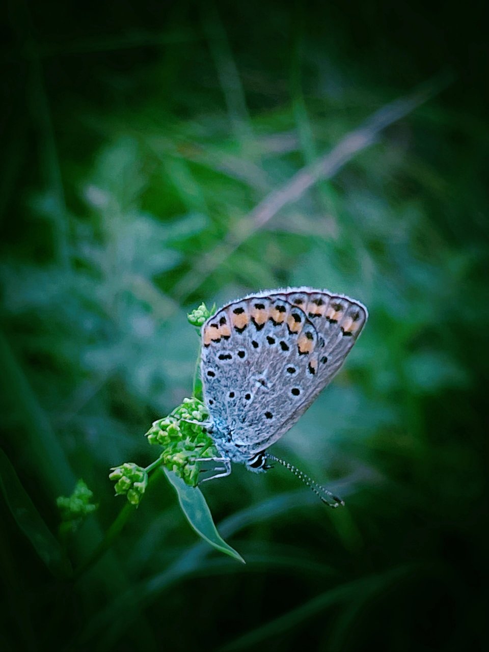 宁夏旅行 | 六盘山国家森林公园之外的美好  一场雨打乱了前往小南川