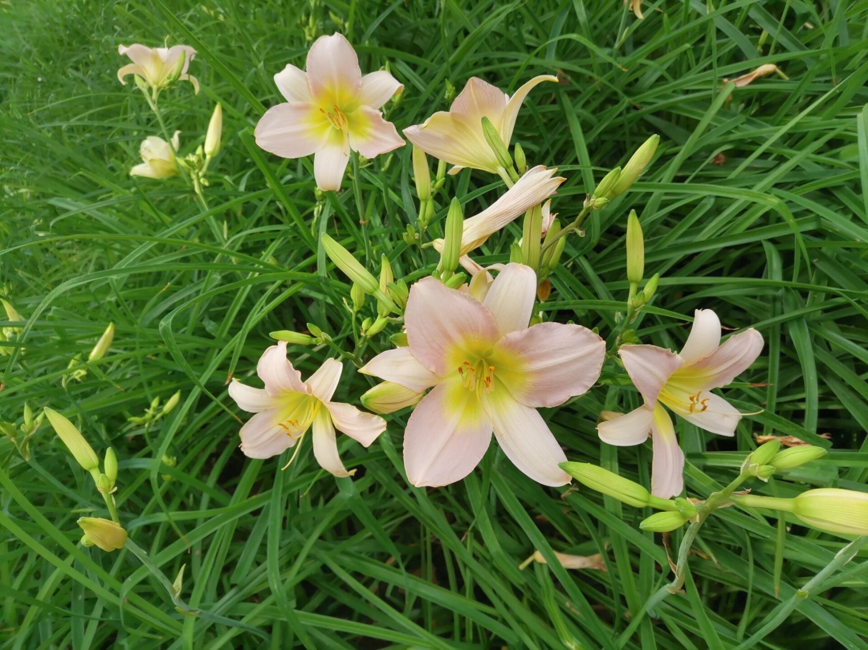 郑州绿博园打卡      全票价20 带学生证或教师资格证半价(照片也可以