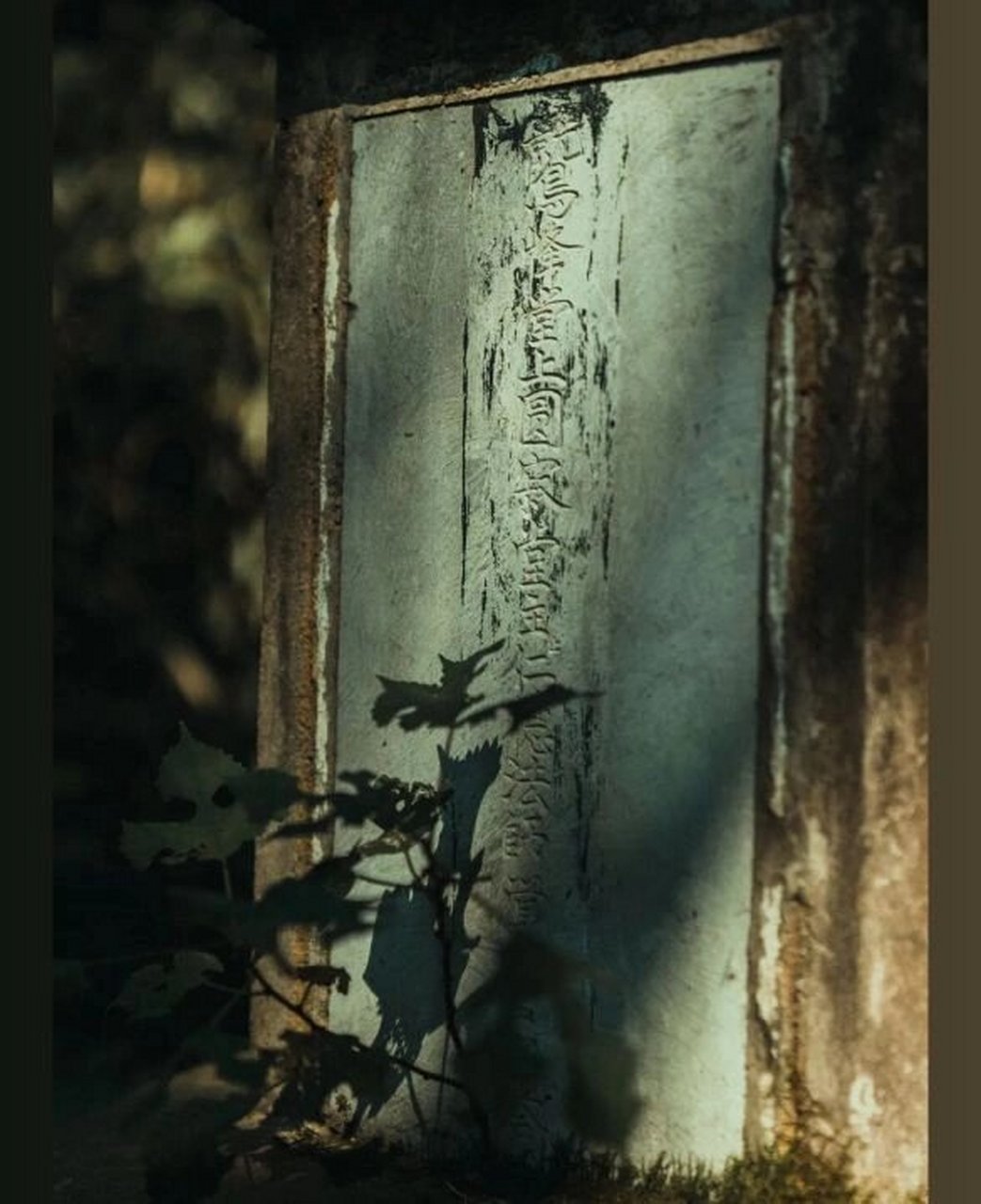 南京有座"兰若寺",夜半时分不可入内 这座"兰若寺"实则为南山律宗古林