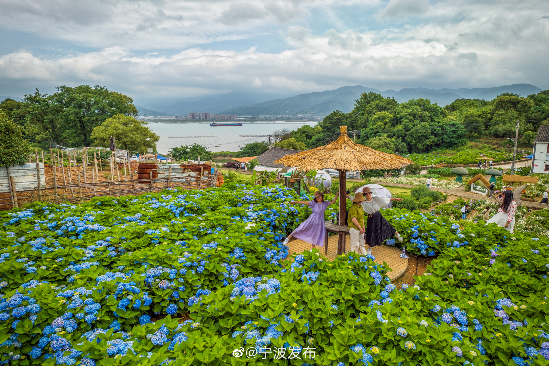 【缤纷无尽夏 花开浪漫时】#连通区县# 日前,宁波市宁海县强蛟镇骆家