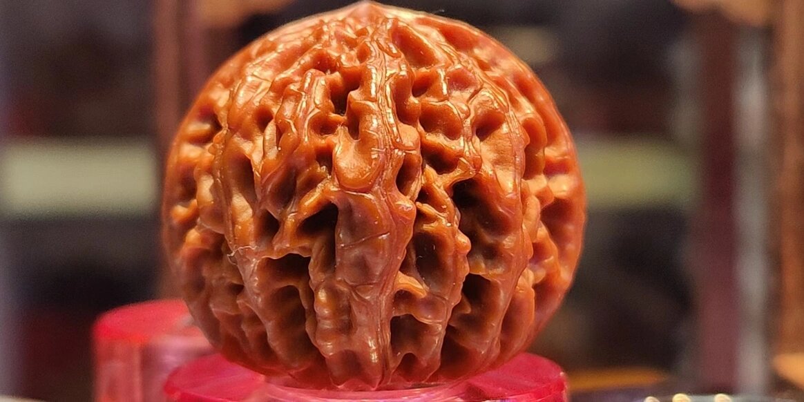 稀少,小众,野生品种文玩麻核桃