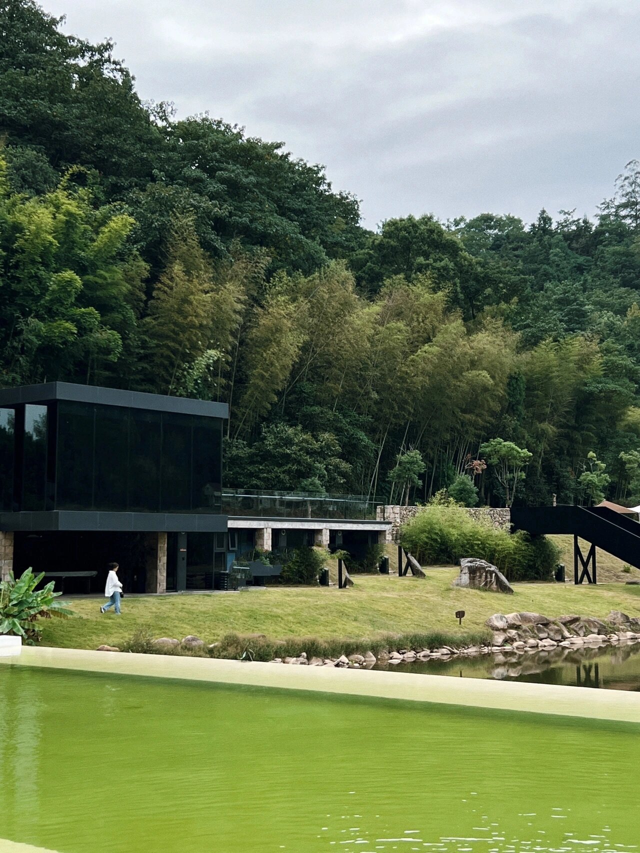 温州小众民宿|隐于绿野917215掉入山林云海间