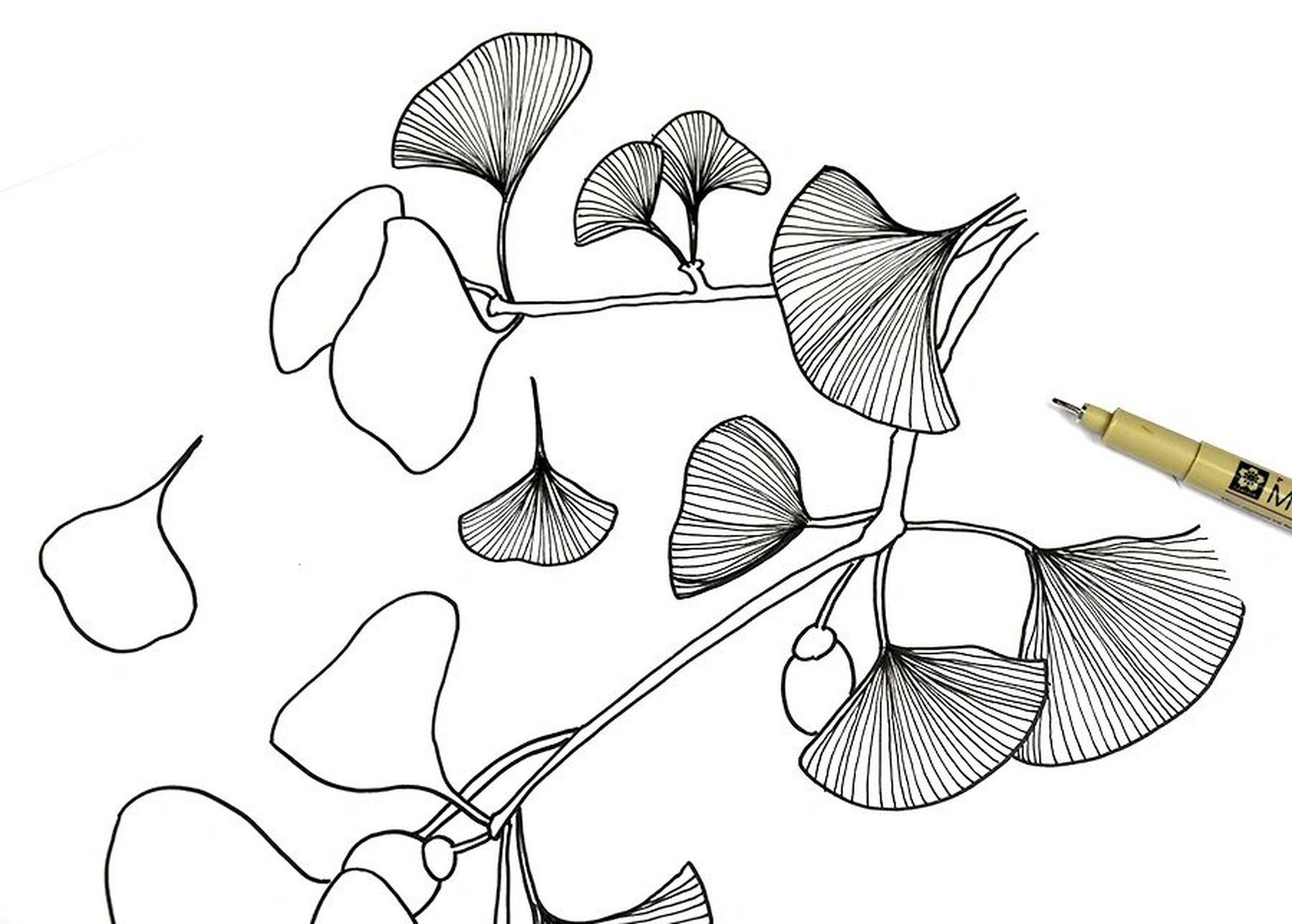 儿童画教程|片片银杏叶 教学重难点 1.