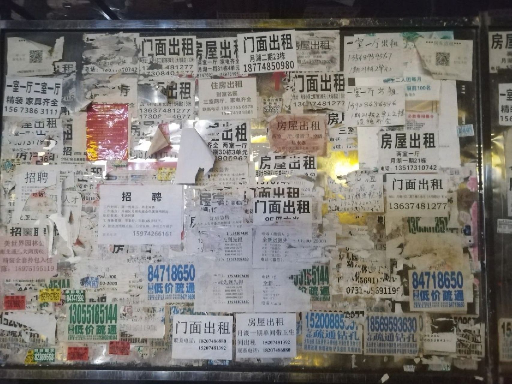 月湖小区出租告示 我的那个房间已经租出去啦,这是我今天在楼下拍的
